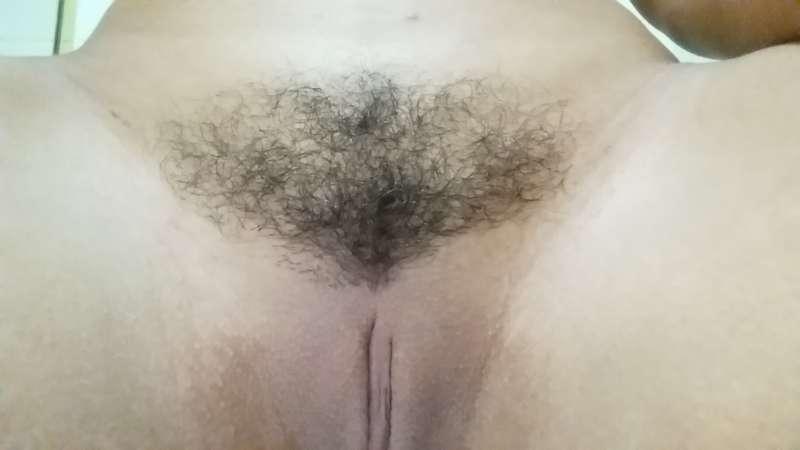 say goodbye to the bush