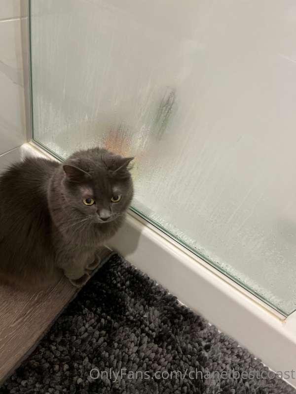 Someone wants to join me in the shower