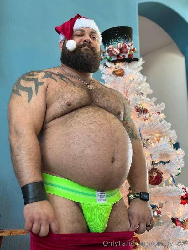 Happy Holidays! Santa ate all the cookies 😉