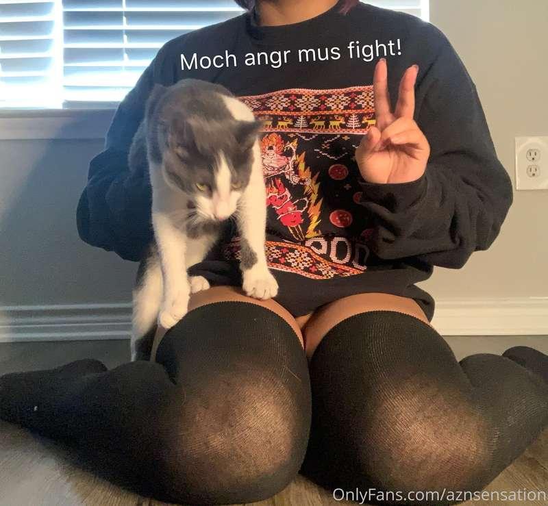 aznsensation image #10