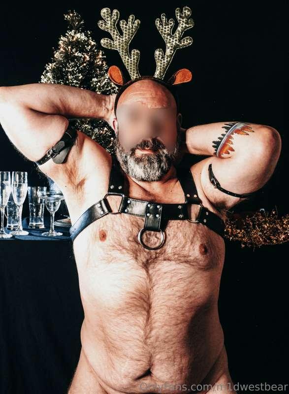 m1dwestbear image #23