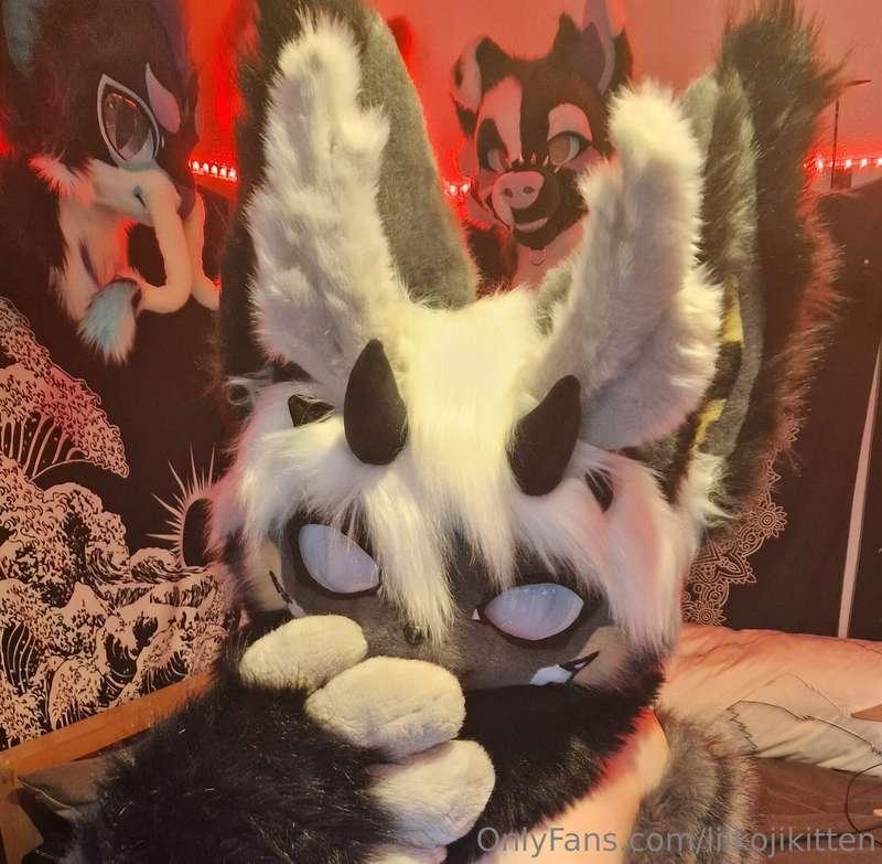 I took nudes in my fullsuit for the first time ever, picture..