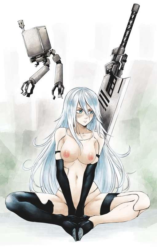 A2