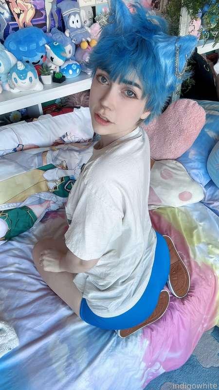 indigowhite image #110