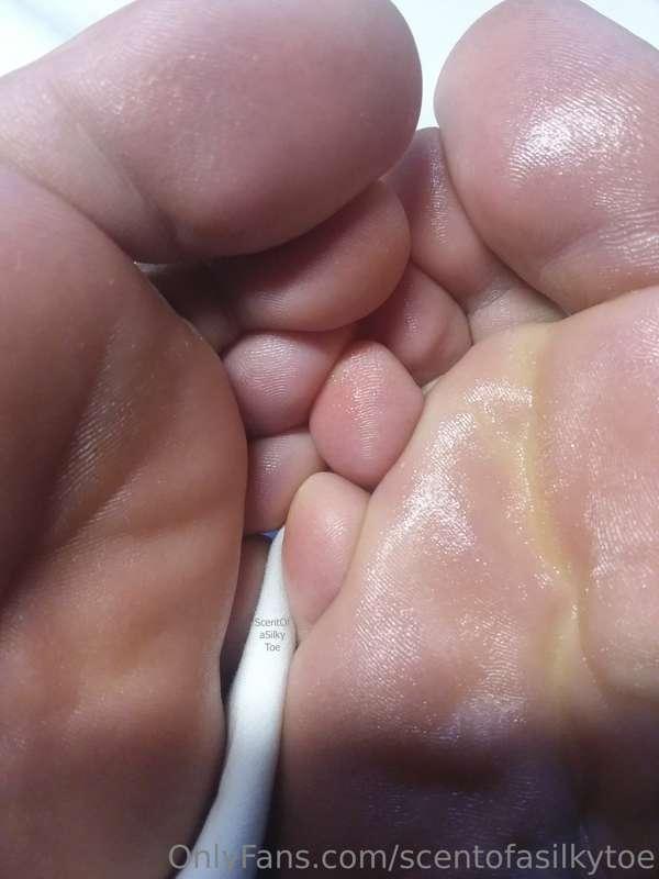 Cozy Toe Family :)