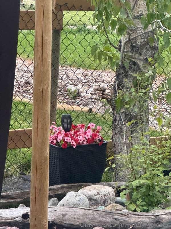 My happy place! Been working on my campground! 