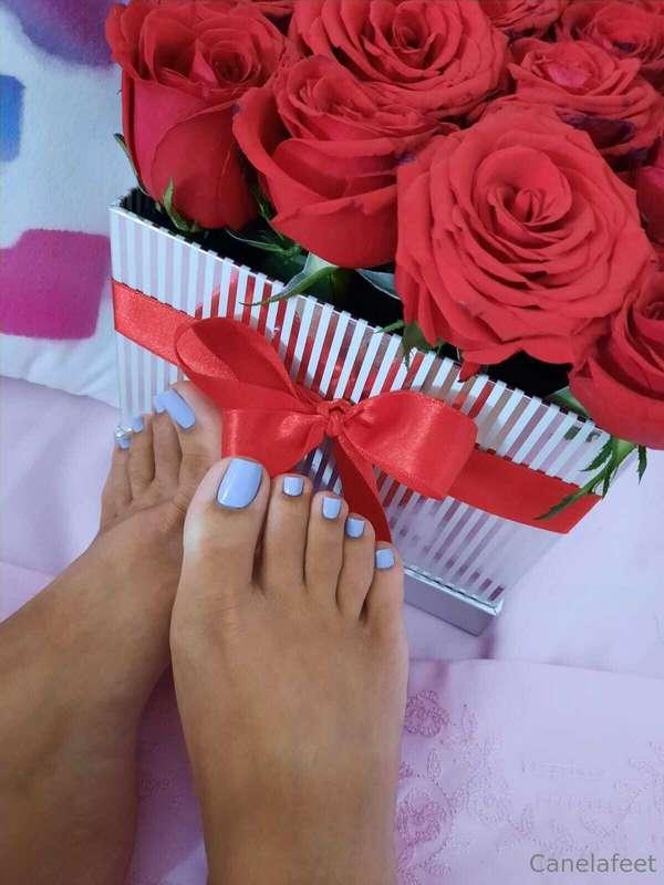 Happy Valentine's Day 💓