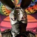 king_blackrabbit