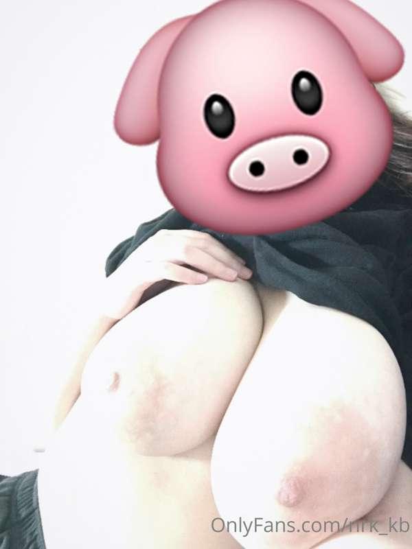 🐷