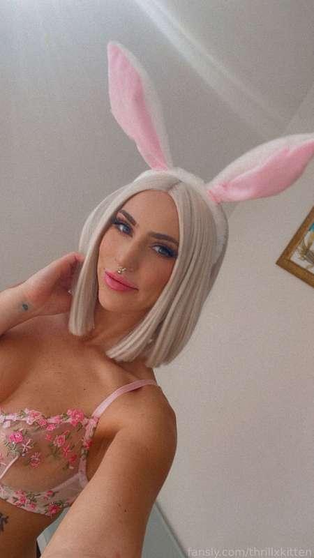 thrillxkitten image #0