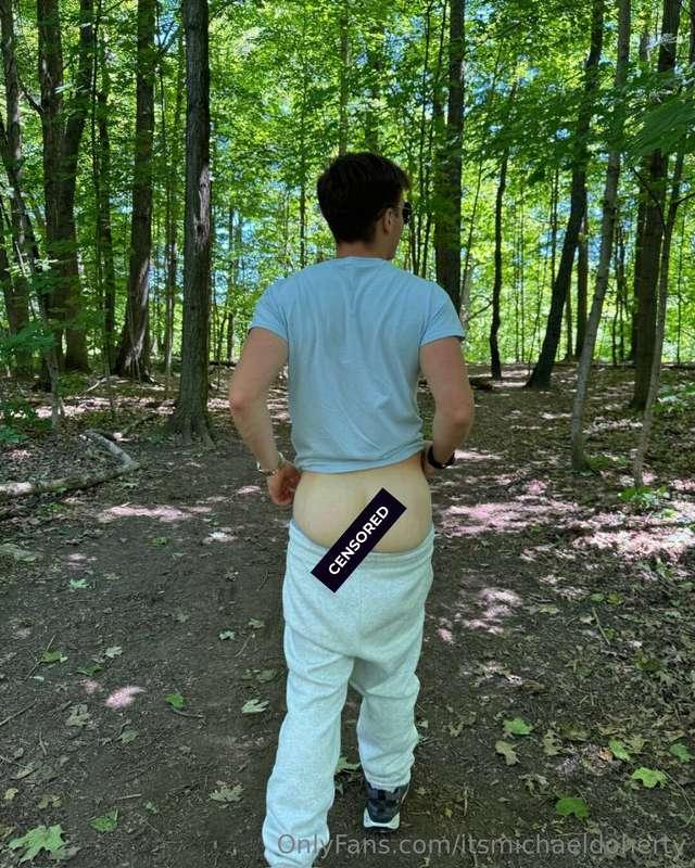 can you guess what i'm doing in that forest?