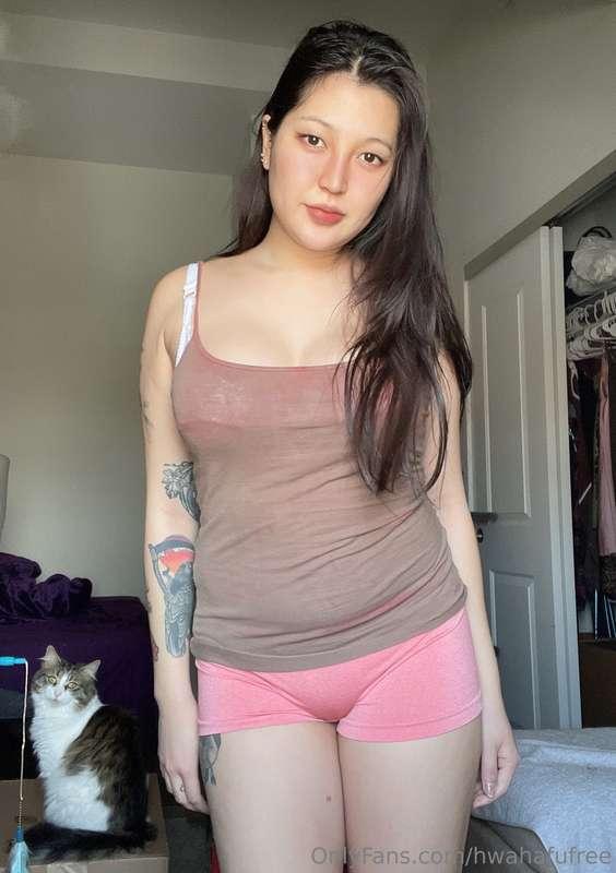 Hi Hi ft kitty