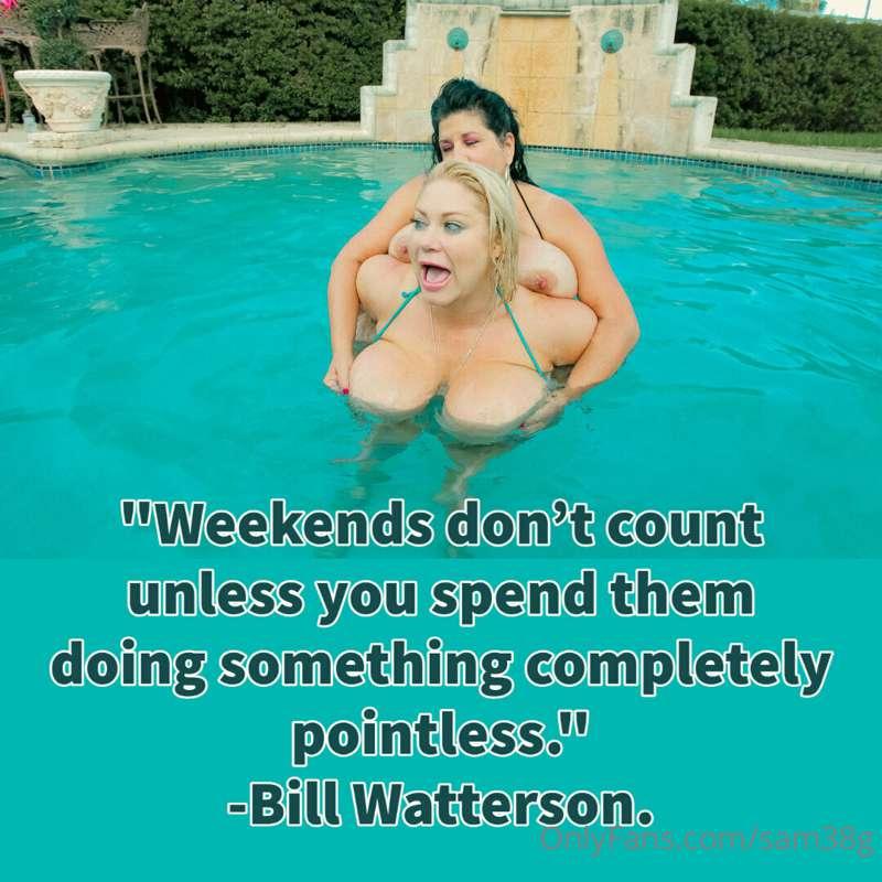 Like me, perhaps some of you waited till the last minute to ..