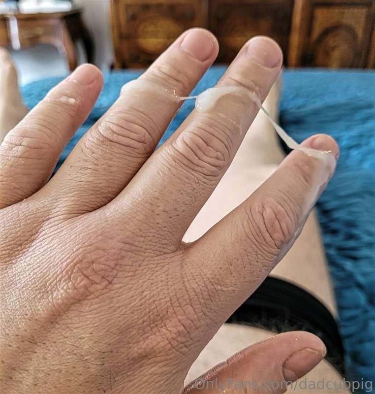 dadcubpig image #1