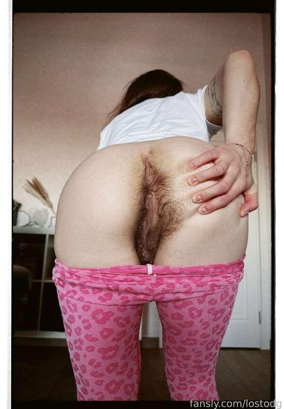 lostodg image #1