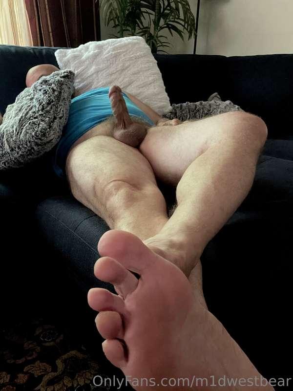 m1dwestbear image #4