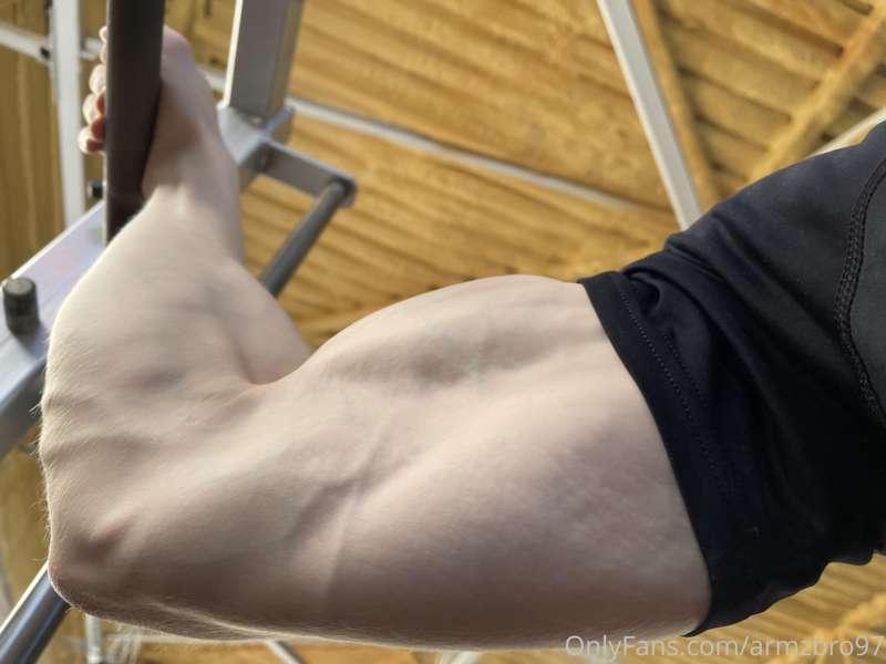 armzbro97 image #0