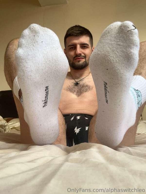 alphaswitchleo image #7