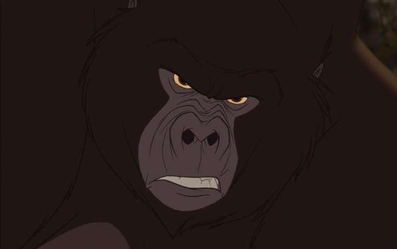 Do you want to see Kerchak? We are aware that certain animal species enjoy greater popularity, however, would you be interested in viewing this particular species? 