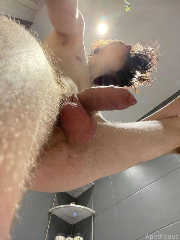 apotheous image #1