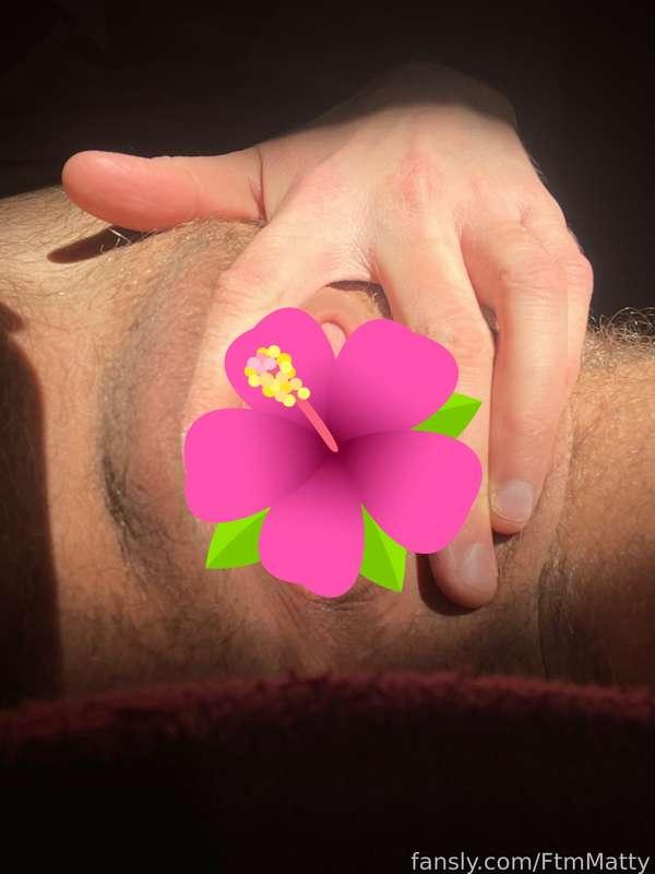 Playing with my t dick in the sun!

The sun wasn’t the only thing that came today 💦

#ftm #trans #transgender #bigclit #hairy #hairypussy #transman #boypussy #bussy 