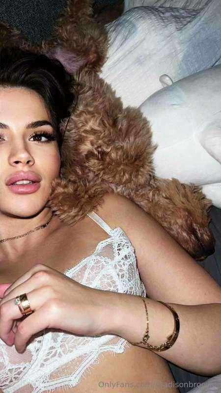 🐶🤍