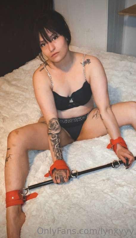 lynxyyy image #2