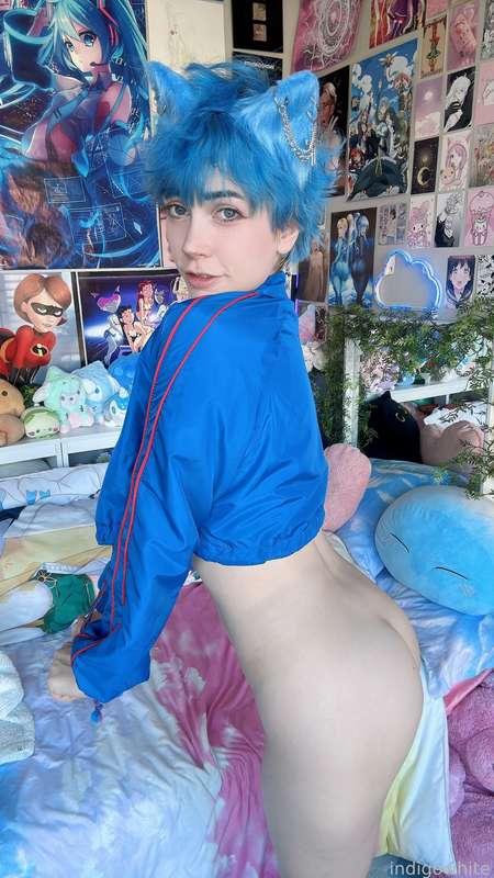 indigowhite image #185