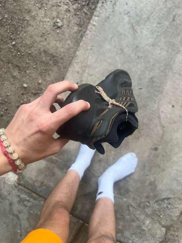mattcash image #0