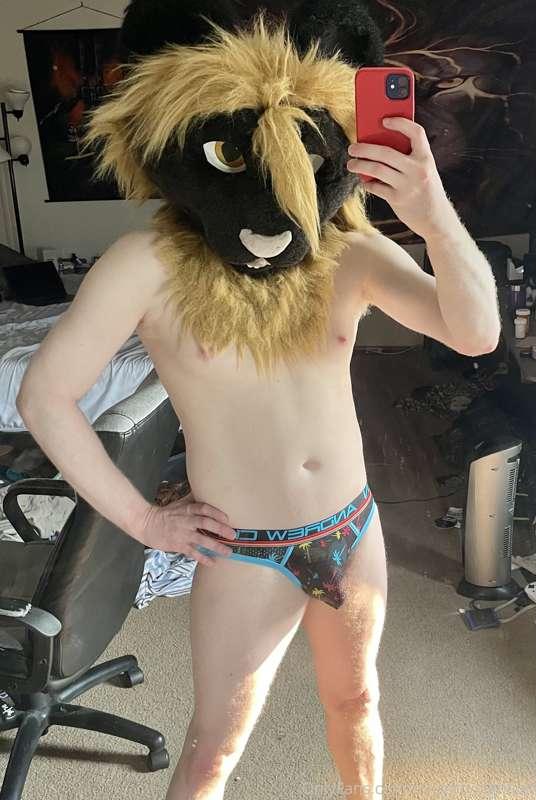 naughtynightcat image #0