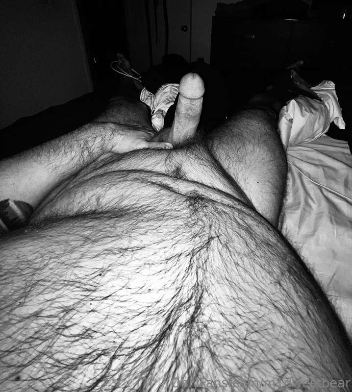 m1dwestbear image #0