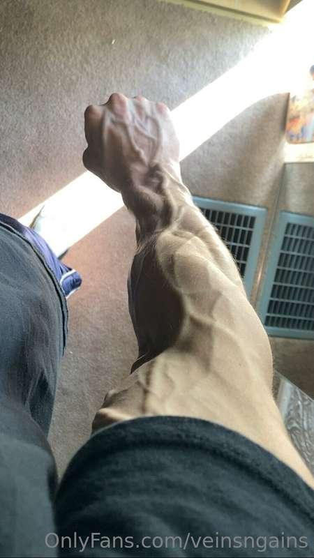 more forearm veins