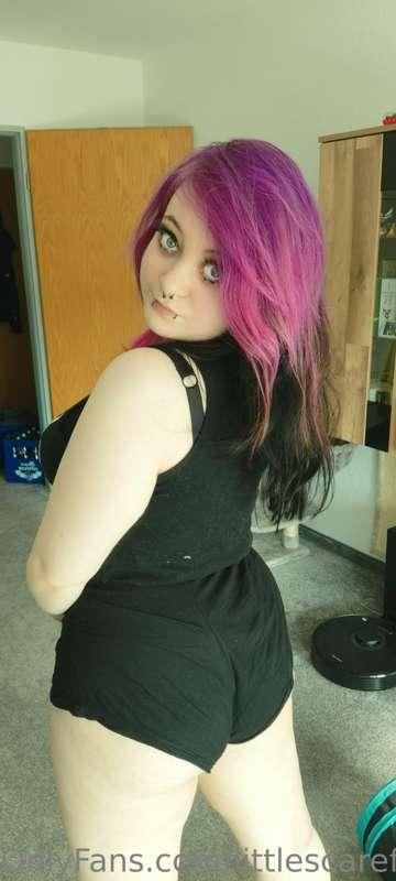 littlescarefox image #1