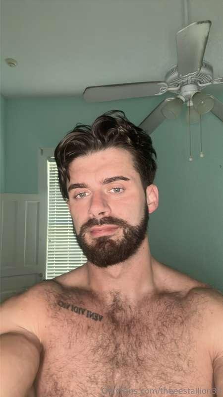 theeestallion33 image #0