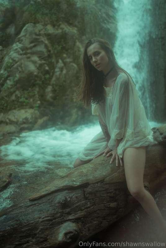 shawnswallow image #18