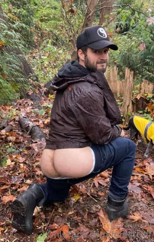 If you get lost in the Forest just follow the full moon