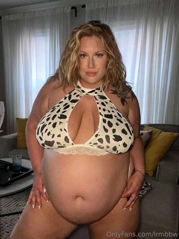 Fat cow 🐮