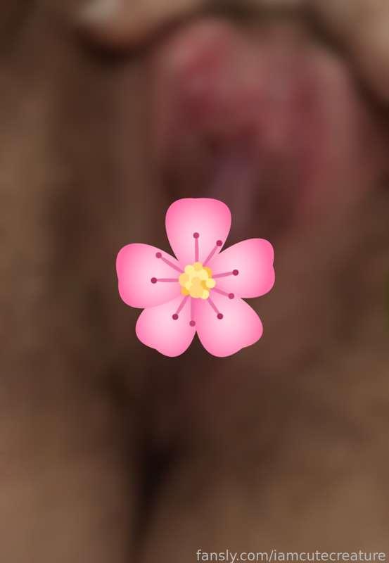 I want to show you my beautiful pussy🌸
Do you want to lick it?🥺

#pussy #fyp #hairypussy 
