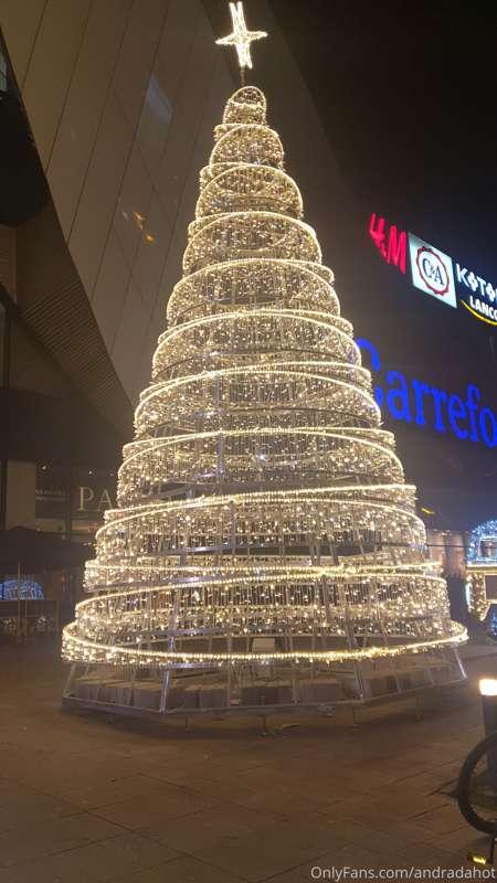 🥰🥰🥰🥰🥰🎄🎄🎄🎄