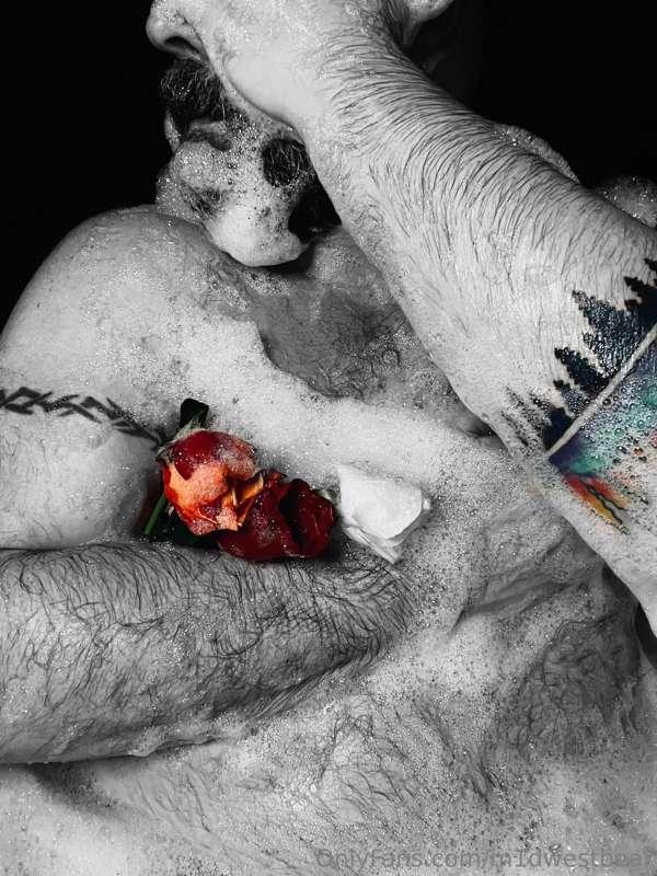 m1dwestbear image #9