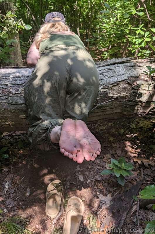 I couldn't resist stopping to take these pictures on my hike..