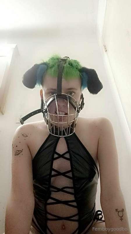 This bratty little puppy is in heat. Did he touch himself wi..