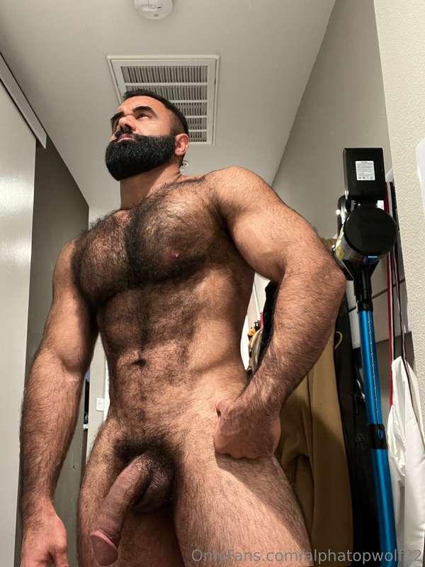 alphatopwolf22 image #0