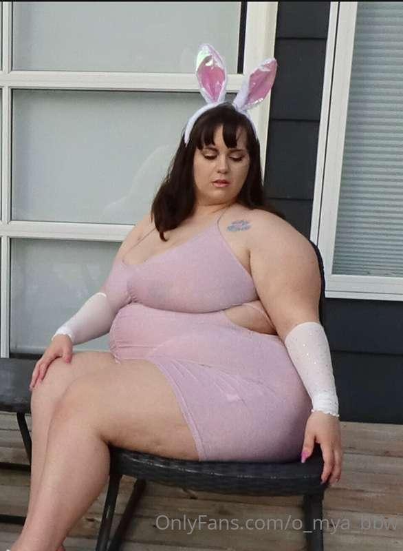 🐰🐰🐰🐰