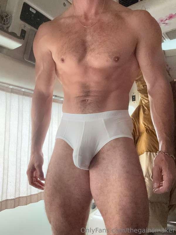 thegainsmaker image #3