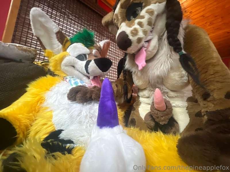 thepineapplefox image #5