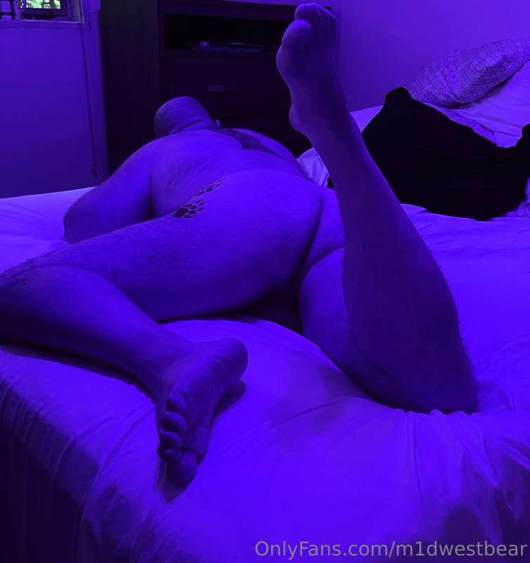 m1dwestbear image #7