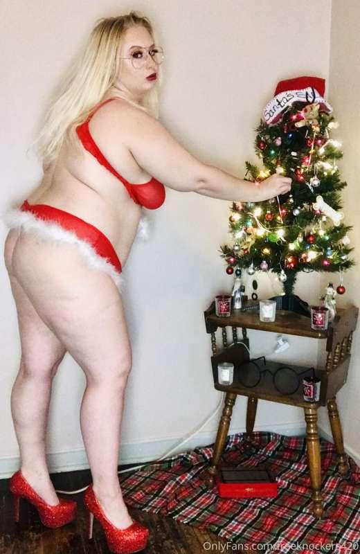 Putting up the Christmas tree!