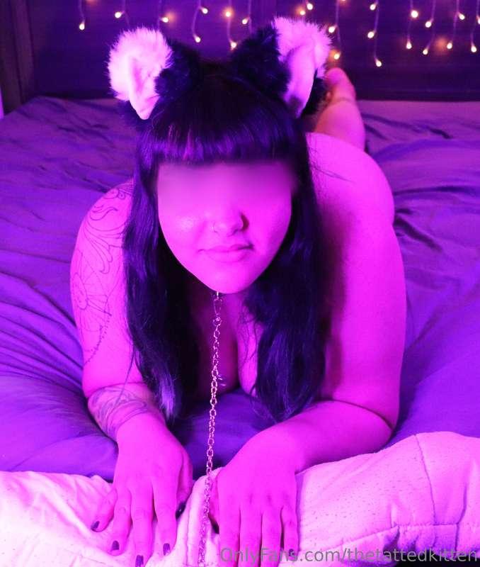thetattedkitten image #0