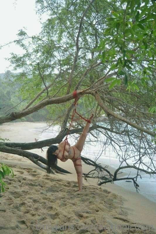 anxlogicdom image #1